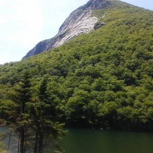 Meet your Posher, Francina